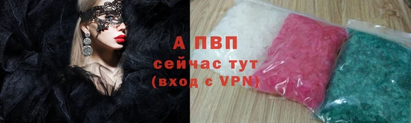 прущие грибы Ивангород